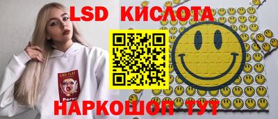 меф Кингисепп